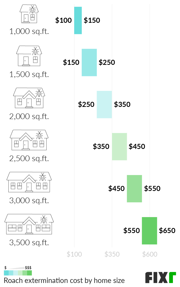 German Cockroach Extermination Cost: Price Guide