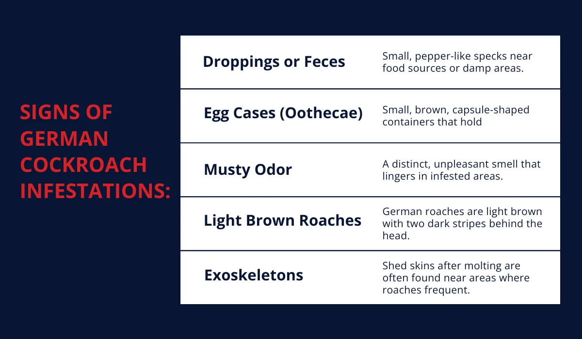 German Cockroach Infestation: Signs and Solutions