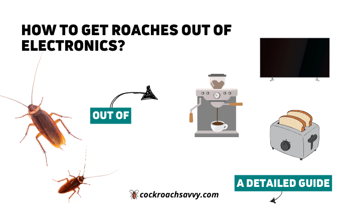 How to Get Rid Cockroaches Electronics: Safe Methods