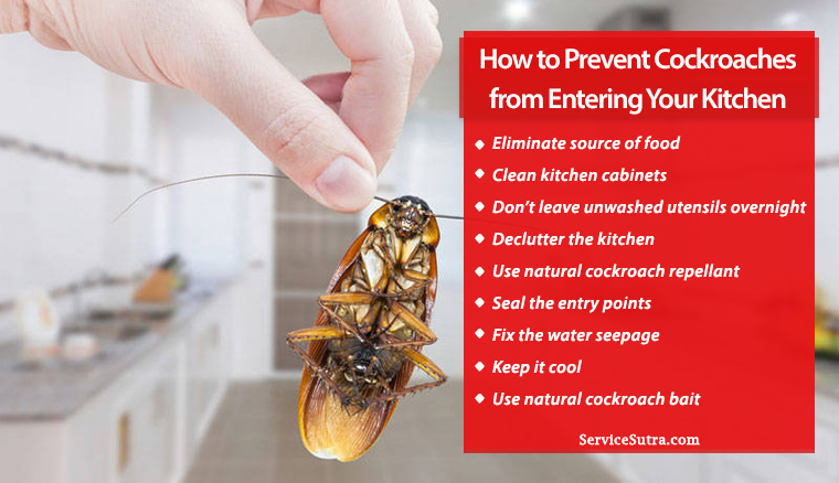 How to Get Rid of Cockroaches in Cabinets: Guide