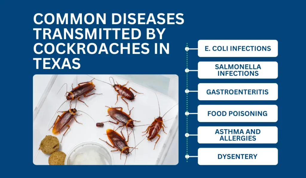 What Diseases Do Cockroaches Carry: Health Guide